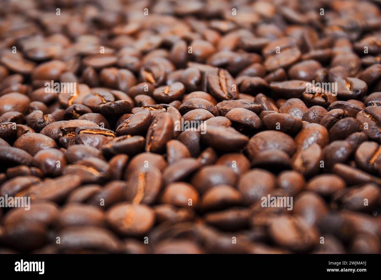 closeup of roasted coffee beans. brown arabica or robusta texture. shallow depth of field Stock Photo