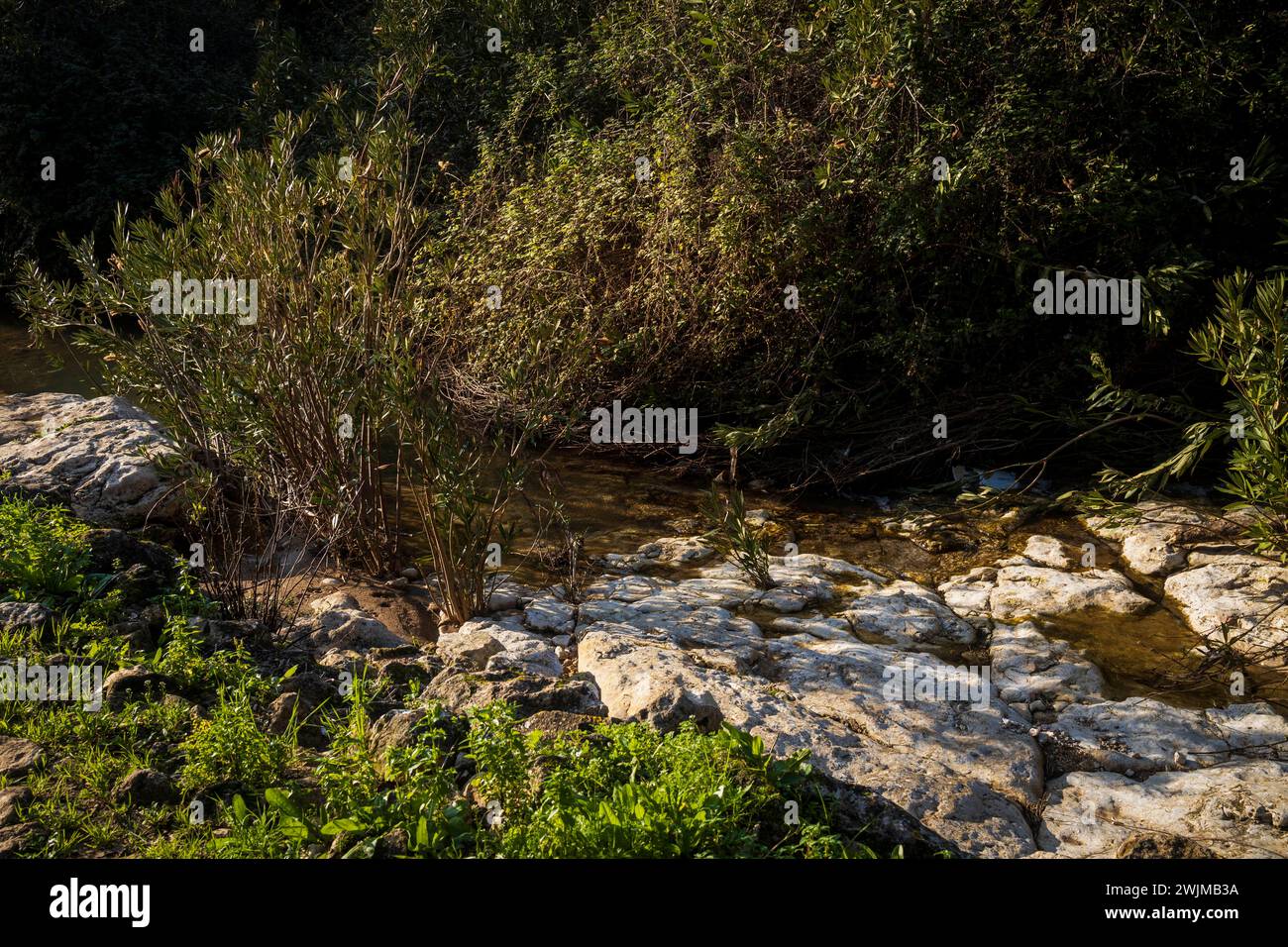 The mouth of the Oren stream on Mount Carmel in Israel with natural ...
