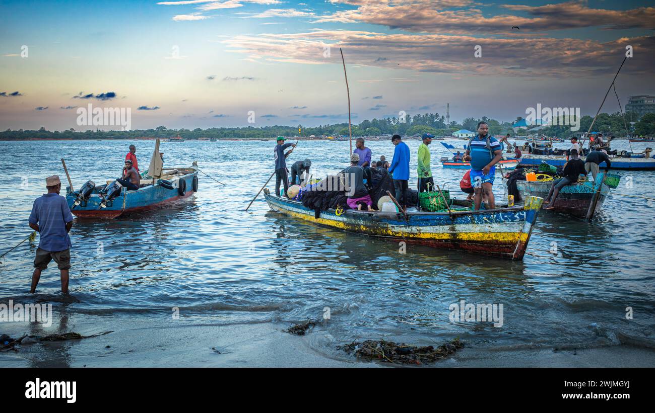 Traditional wooden dhow boats crowded with fishermen arrive to offload their catch in the evening at Kivukoni Fish Market, Dar es Salaam, Tanzania. Stock Photo