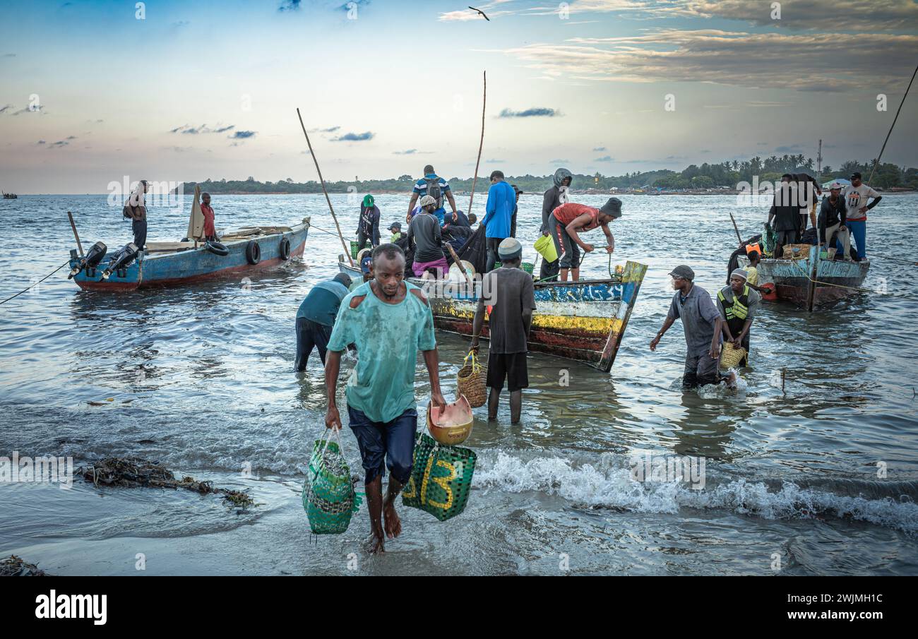 A porter carries bags of anchovy from a traditional wooden dhow boats crowded with fishermen after they arrive in the evening at Kivukoni Fish Market, Stock Photo