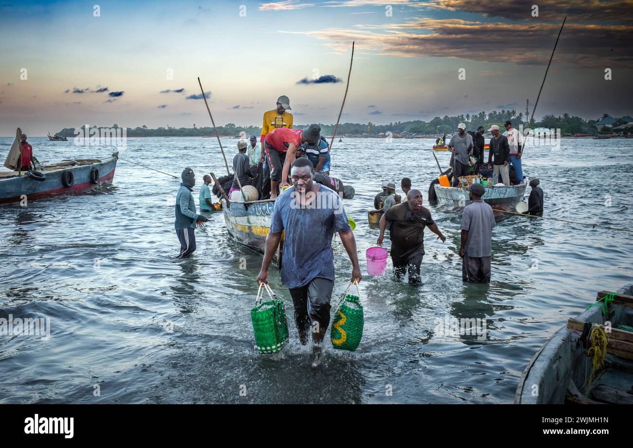 A porter carries bags of anchovy from a traditional wooden dhow boats crowded with fishermen after they arrive in the evening at Kivukoni Fish Market, Stock Photo
