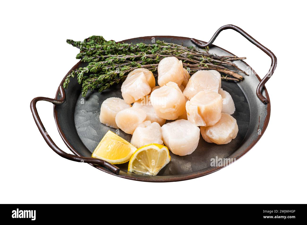 Raw scallops in a steel tray with herbs. Isolated on white background. Top view Stock Photo