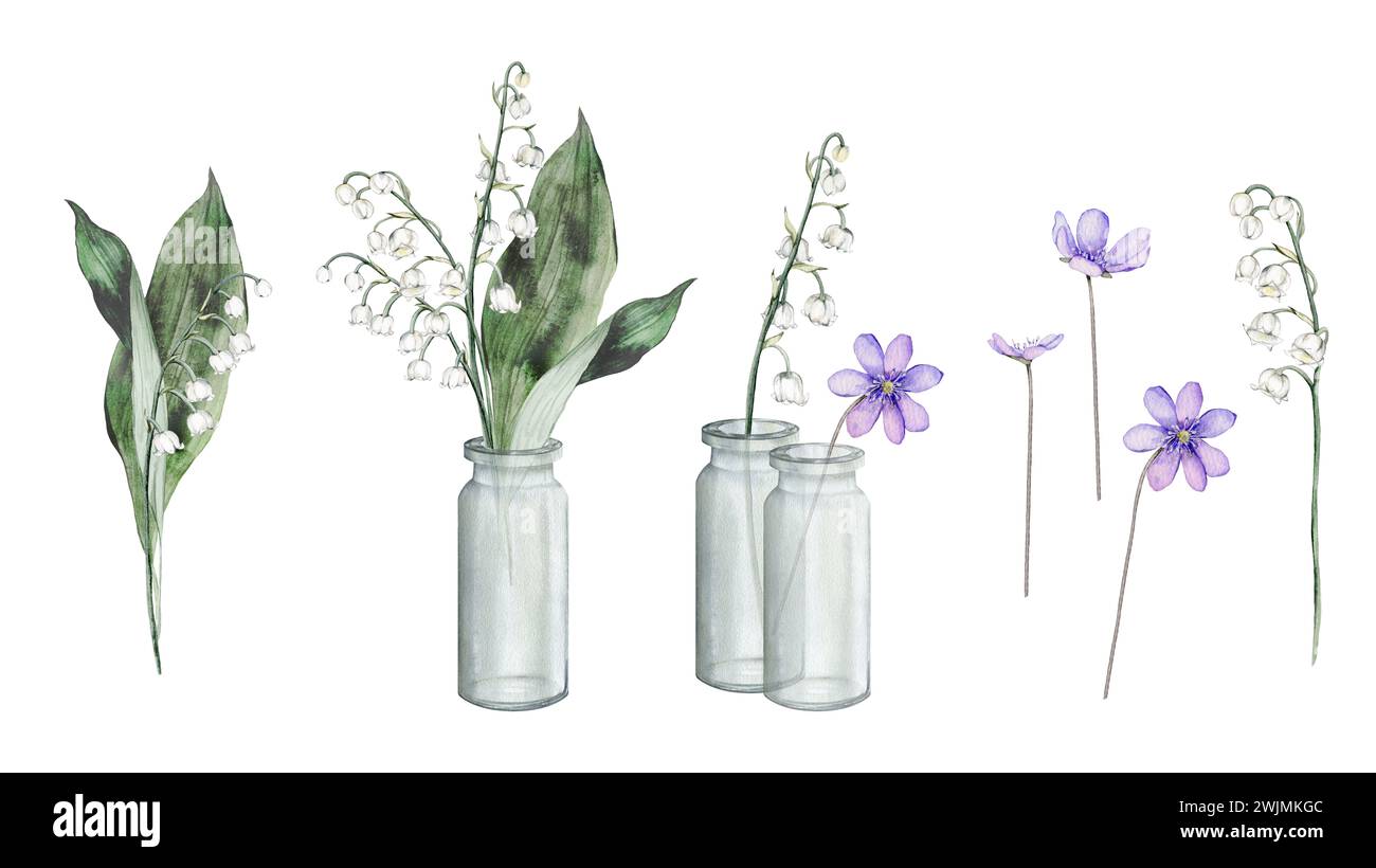 Watercolor floral elements with white tender spring lilies of the valley. Clipart of lilac forest flowers scilla in glass jar. Set of elements Stock Photo