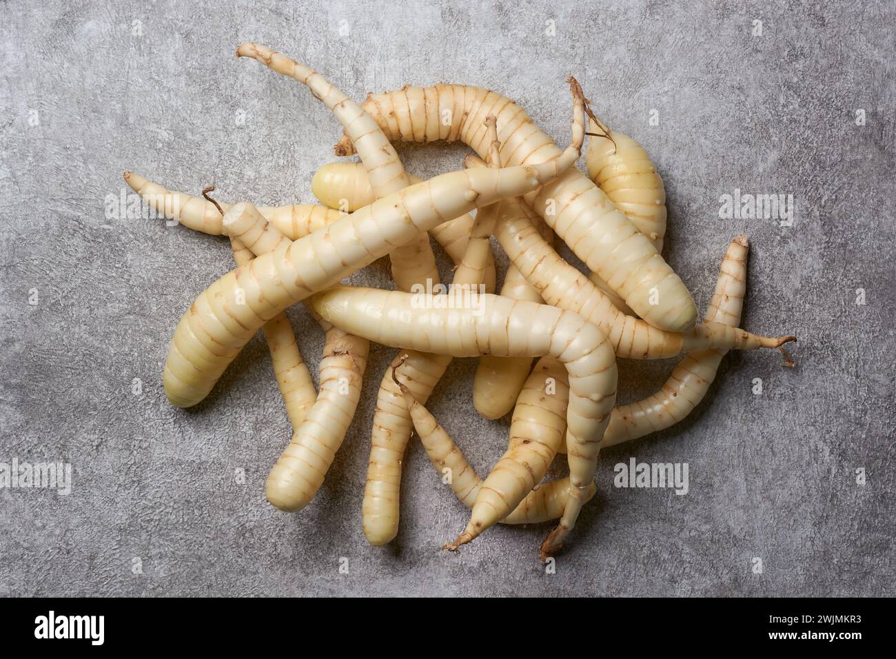 pile of organic arrowroot rhizomes, maranta arundinacea, tropical plant known for starchy rhizomes harvested for various culinary purposes, used as gl Stock Photo