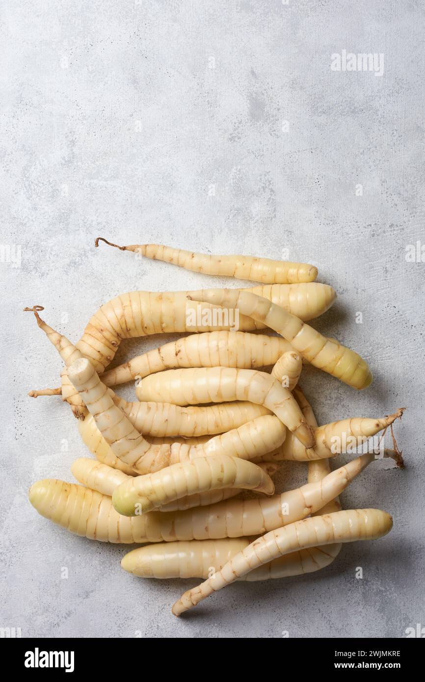 organic arrowroot rhizomes, maranta arundinacea, tropical plant known for starchy rhizomes harvested for various culinary purposes, used as gluten fre Stock Photo