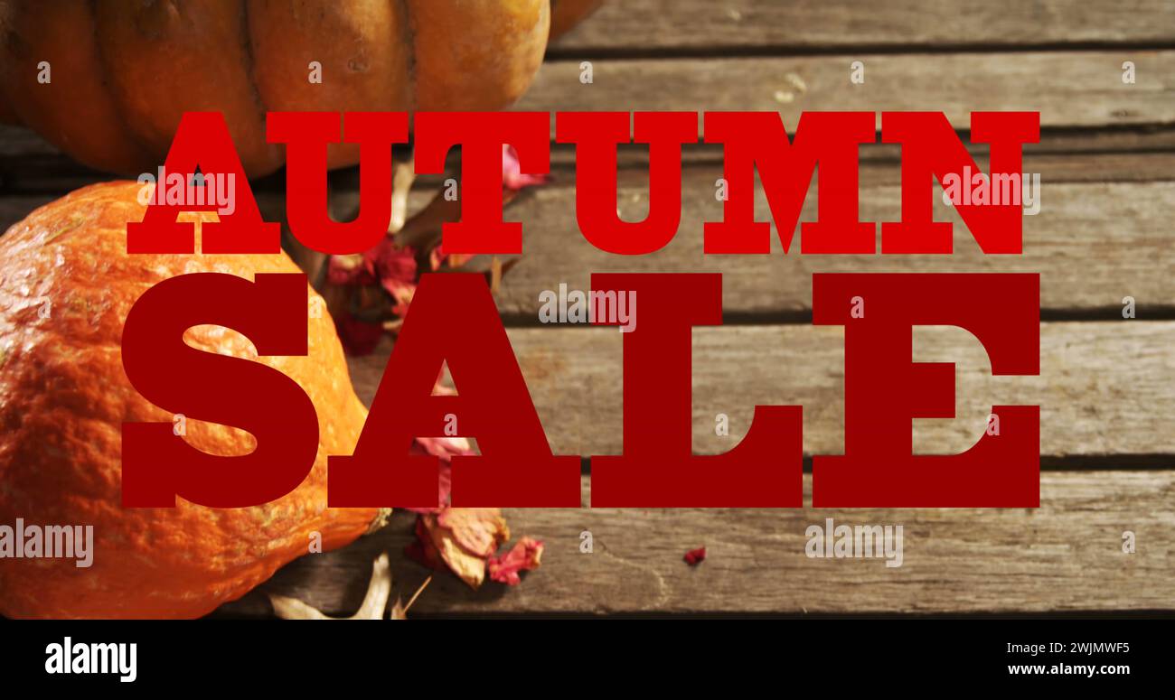 Image of autumn sale text in red letters over pumpkins and wooden boards Stock Photo