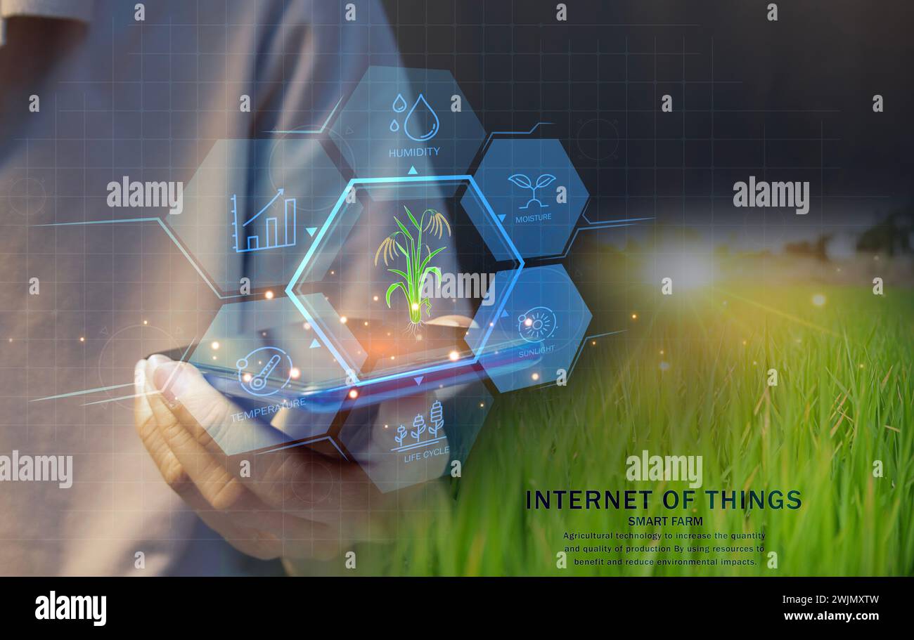 Ideas for using ai and smart farming productivity increase and
