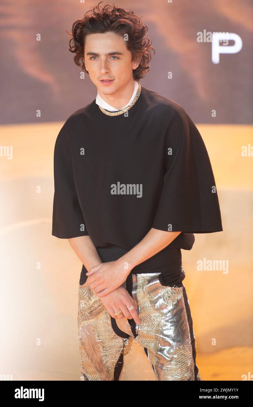 London, UK. 15 Feb, 2024. Pictured: Timothee Chalamet attends The World  Premiere of 'Dune: Part Two' at Leicester Square. Credit: Justin Ng/Alamy  Live News Stock Photo - Alamy