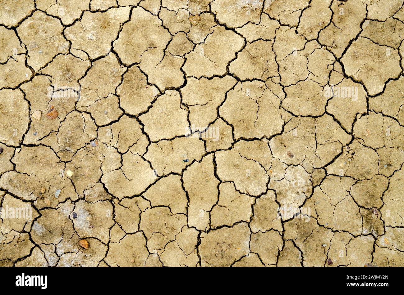 The cracked dirt ground surface with tiny fissures Stock Photo