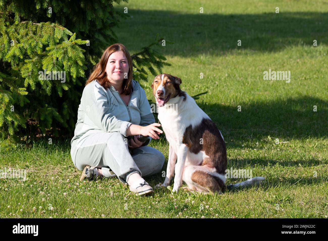 A woman sits in a meadow with a large dog in summer Russia Yaroslavl August 10, 2023 Stock Photo