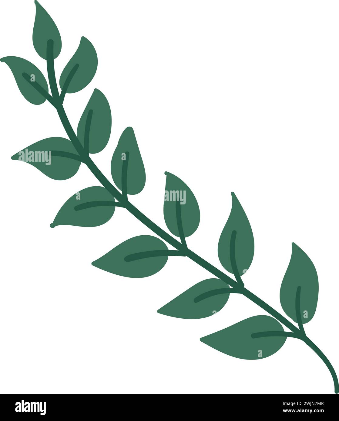 Isolated colored natural leaf icon Vector Stock Vector Image & Art - Alamy