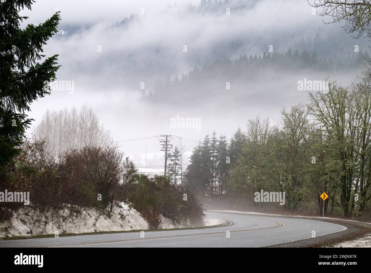 Empty road surrounded trees in hi-res stock photography and images - Alamy