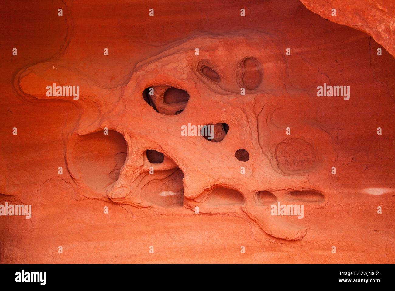Tafoni or rock lace erosion patterns in the eroded Aztec sandstone of ...