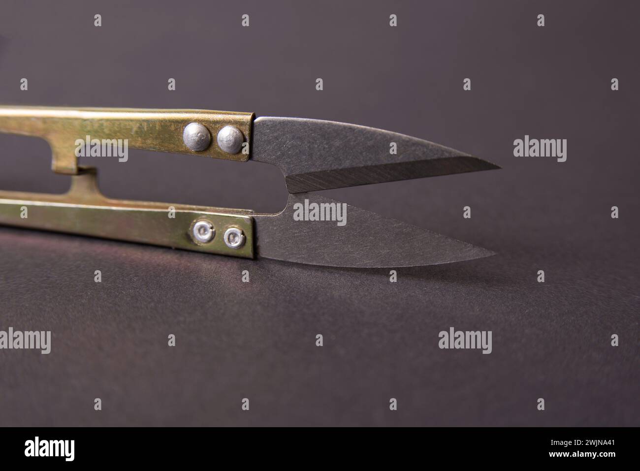 Tailor mini thread cutter on a gray background Stock Photo - Alamy