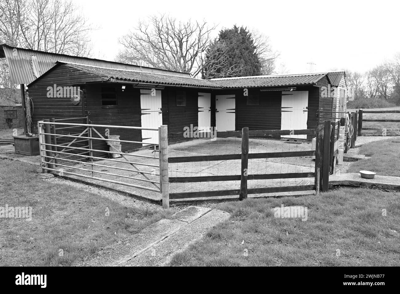 Stables and a Stables yard for horses in the UK Stock Photo