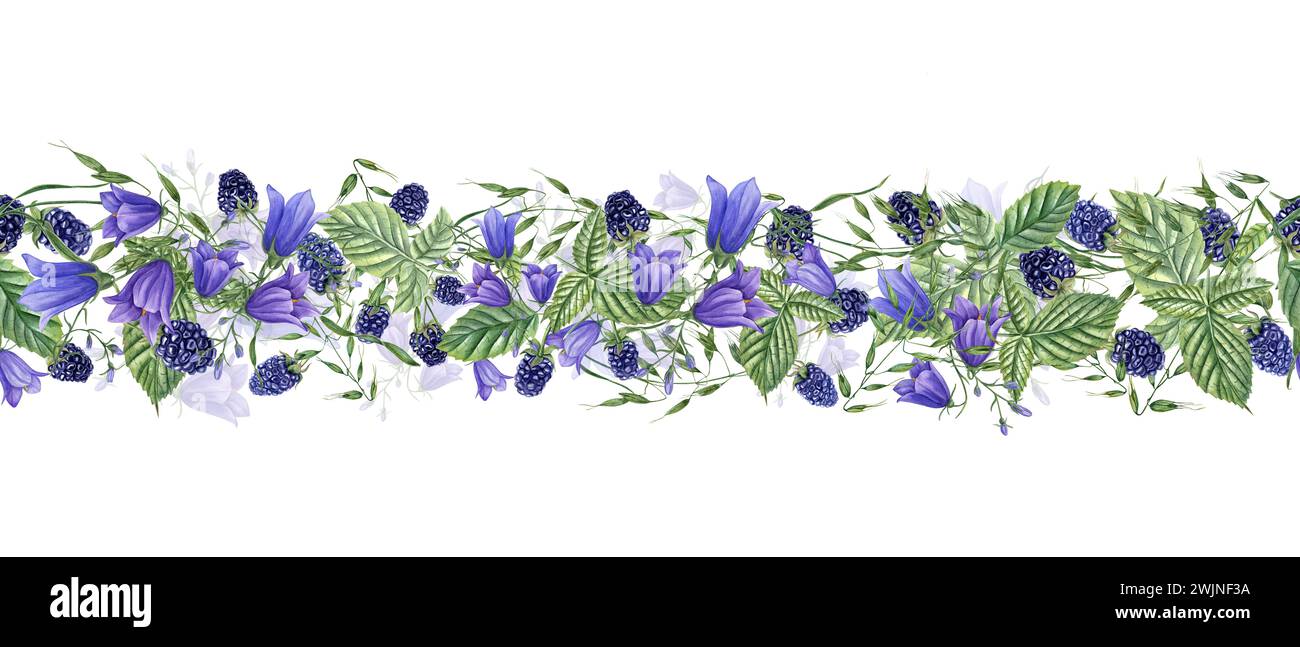 Seamless border with forest Blackberries and meadow plants. Berries