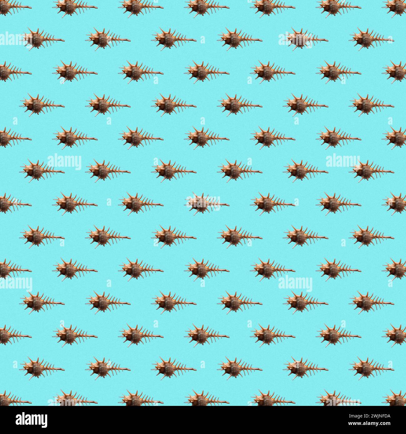 Seamless colorful pattern of shells on blue color background ...