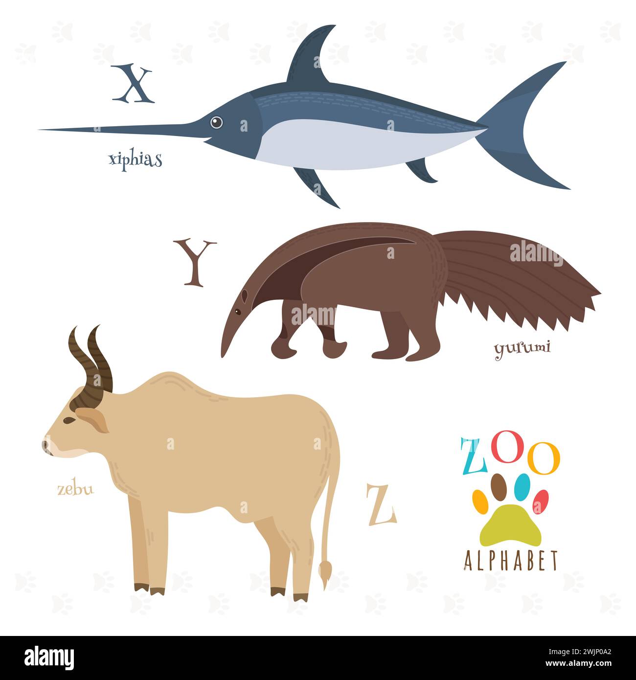 Zoo alphabet with funny cartoon animals. X, y, z letters. Xiphias, yurumi, zebu. Vector illustration Stock Vector