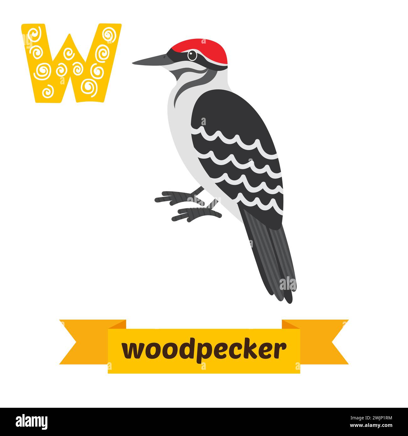 Woodpecker. W letter. Cute children animal alphabet in vector. Funny ...