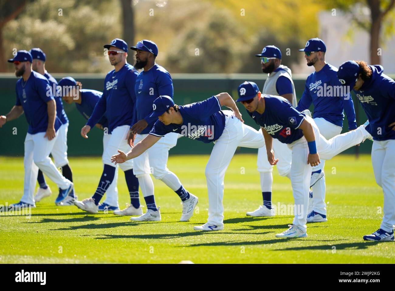 Los Angeles Dodgers designated hitter Shohei Ohtani participates in spring training baseball