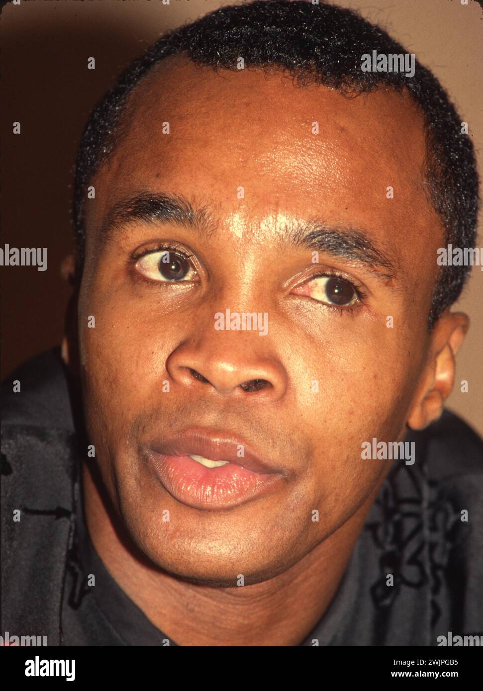 1990 Sugar Ray Leonard John Barrett/PHOTOlink Stock Photo Alamy