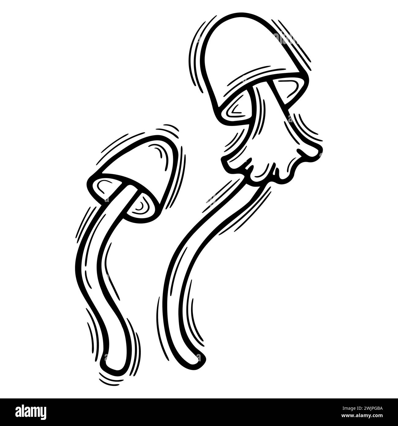 Hand drawn mushrooms. Doodle style element. Sketched design. Vector illustration Stock Vector