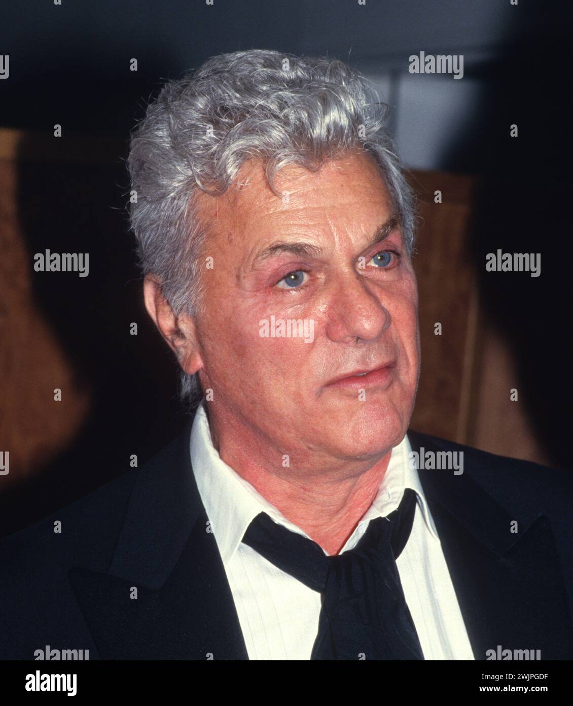 Hollywood actor tony curtis hi-res stock photography and images - Alamy