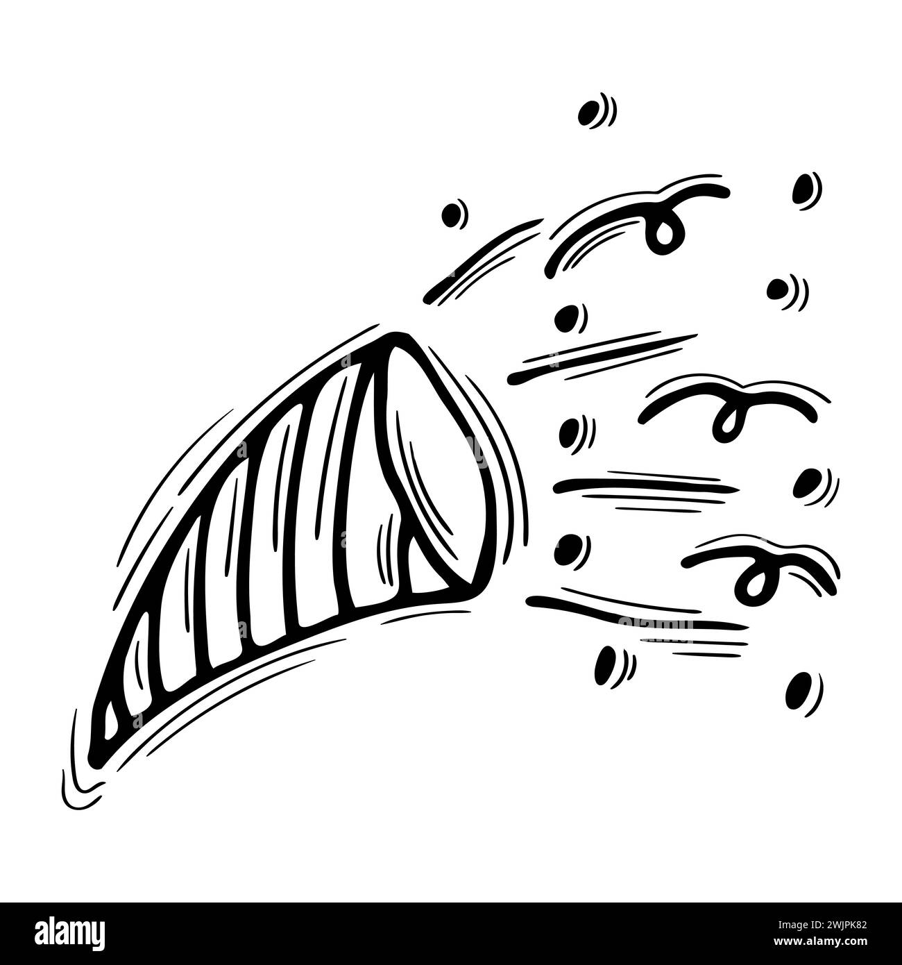 Hand drawn firecracker, sparkler. Doodle firework, petard. Celebration concept. Vector illustration Stock Vector