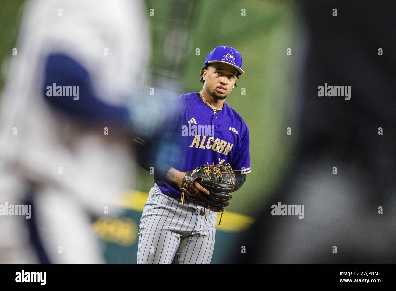 Houston, Texas, USA. 16th Feb, 2024. Alcorn State Braves pitcher Kewan