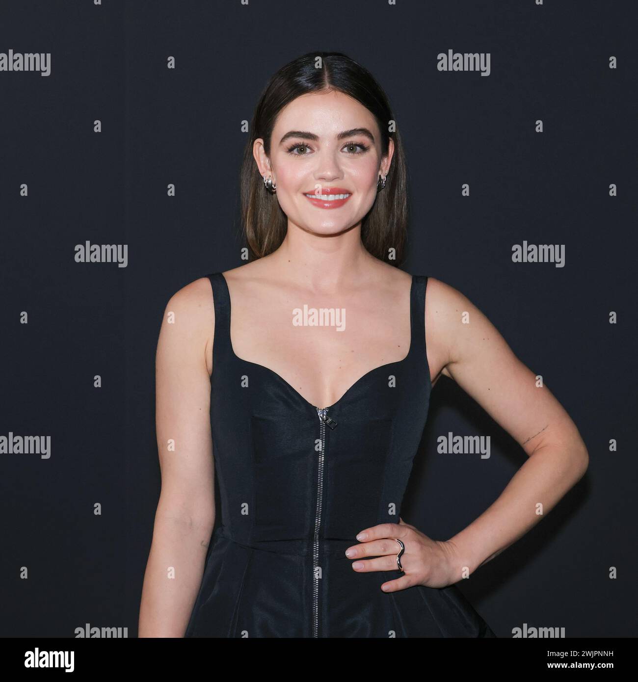 Los Angeles, California, USA. Actress/singer Lucy Hale, host of the 2024 LA Art Show Opening Premiere Night attending the 2024 LA Art Show Opening Night Premiere Party benefiting the American Heart Association at the Los Angeles Convention Center in Los Angeles, California. Credit: Sheri Determan Stock Photo