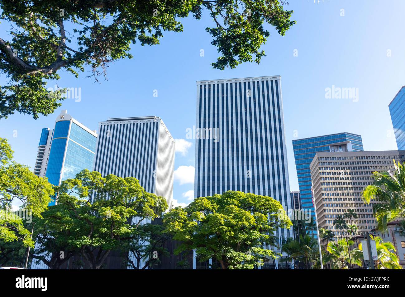 High-rise buildings in Financial District, Honolulu, Oahu, Hawaii, United States of America Stock Photo
