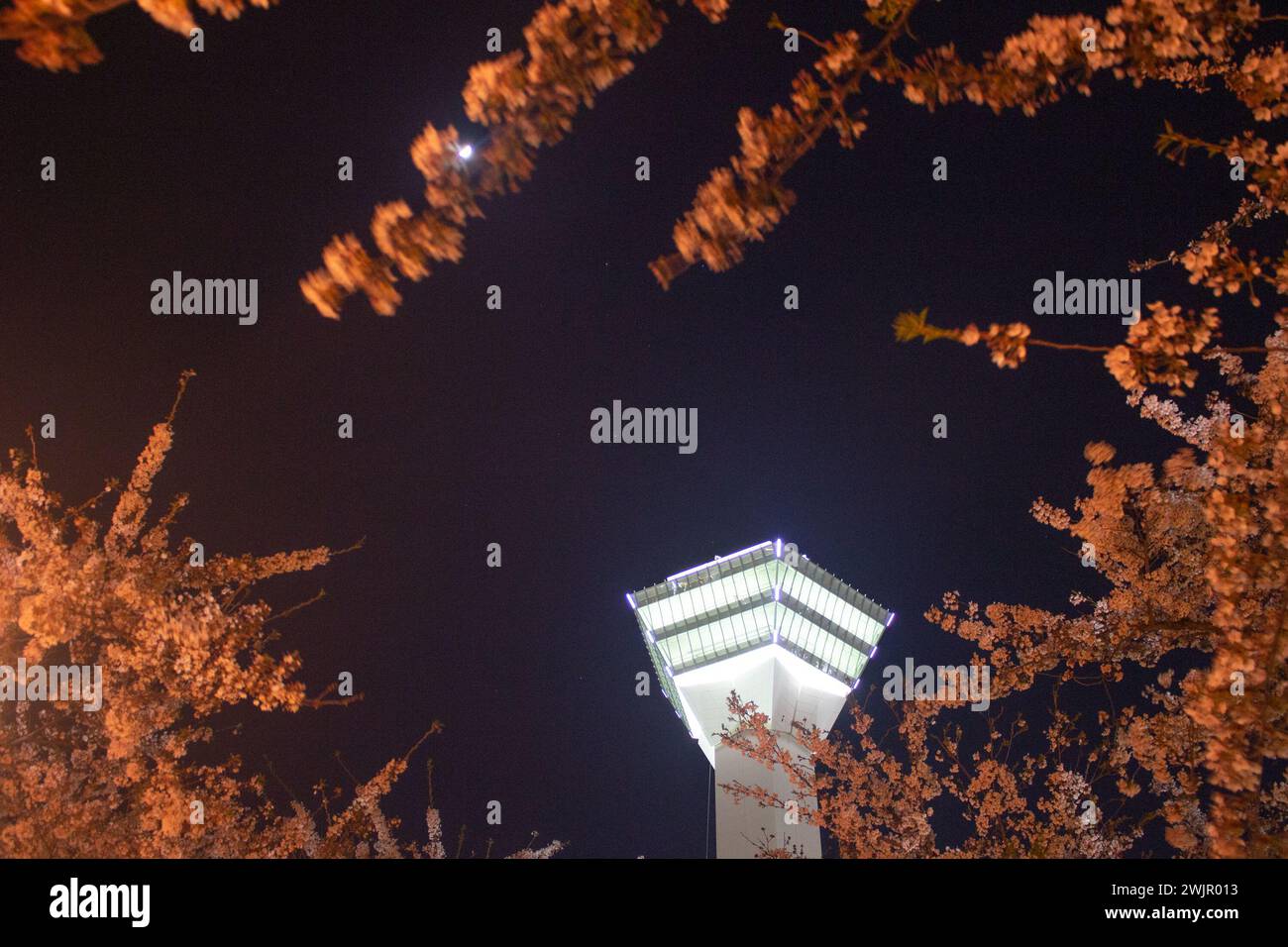 Beautiful night view of Goryokaku Tower with cherry blossoms (Sakura flower) on Cherry Blossom Festival in Spring, Hakodate, Hokkaido, Japan Stock Photo