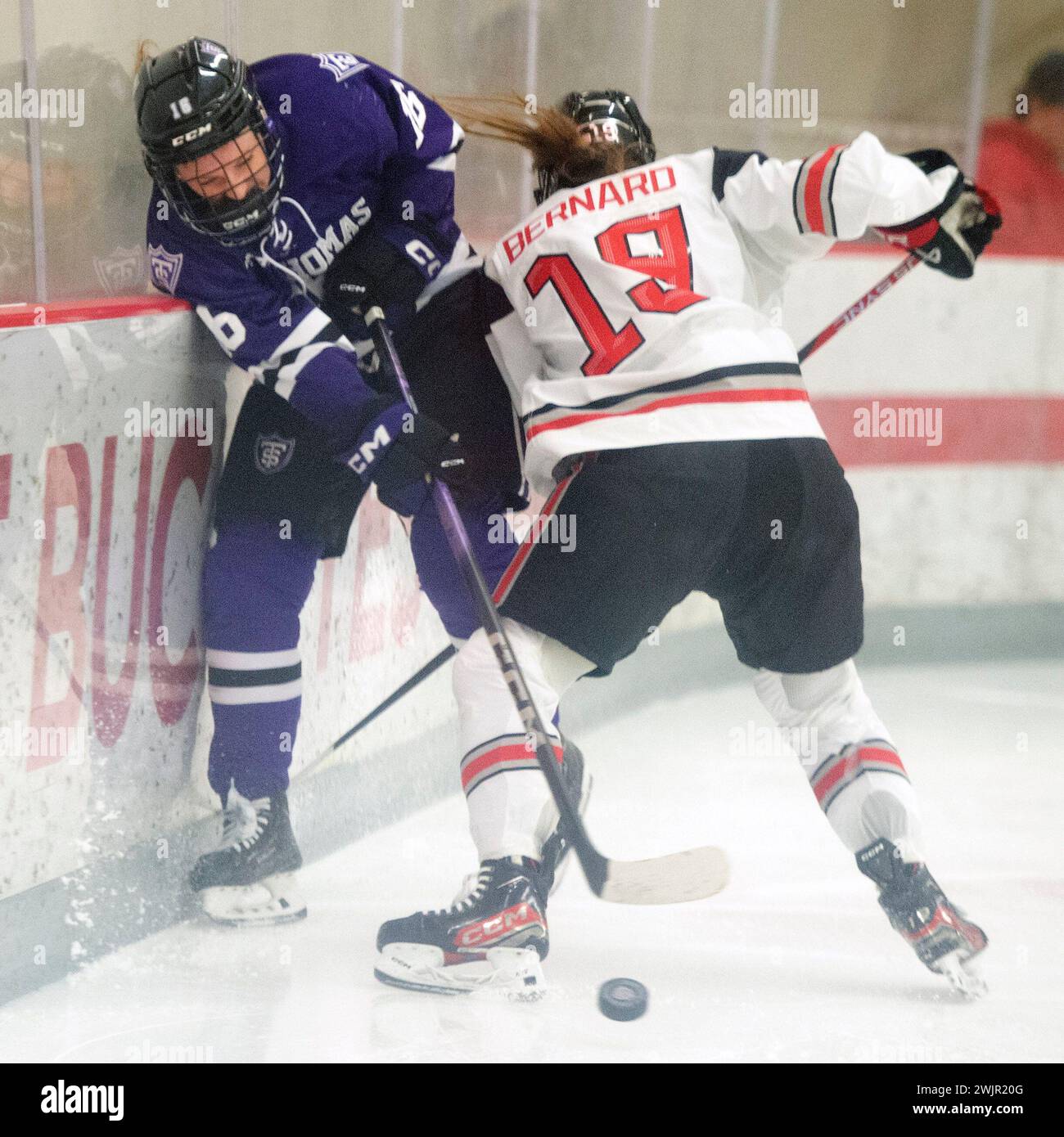 February 16, 2024: Ohio State Buckeyes forward Ohio State Buckeyes defenseman Lauren Bernard (19) collides with St. Thomas Tommies forward Lauren Stenslie (16) in their game in Columbus, Ohio. Brent Clark/Cal Sport Media (Credit Image: © Brent Clark/Cal Sport Media) Stock Photo