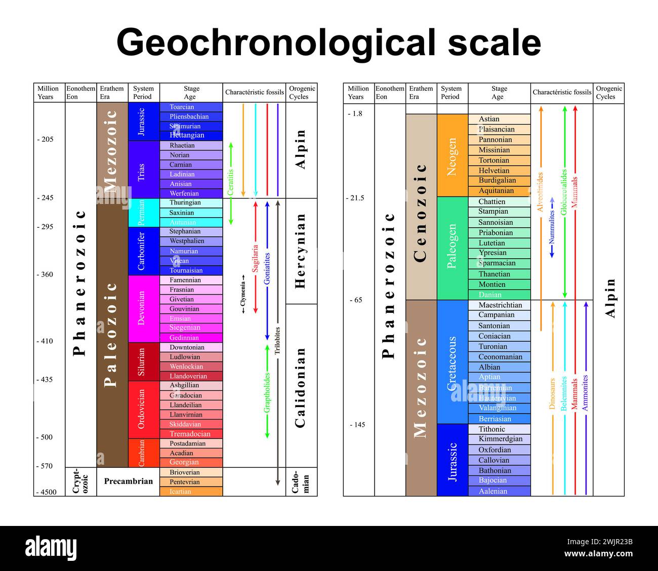 Geochronological scale, illustration Stock Photo