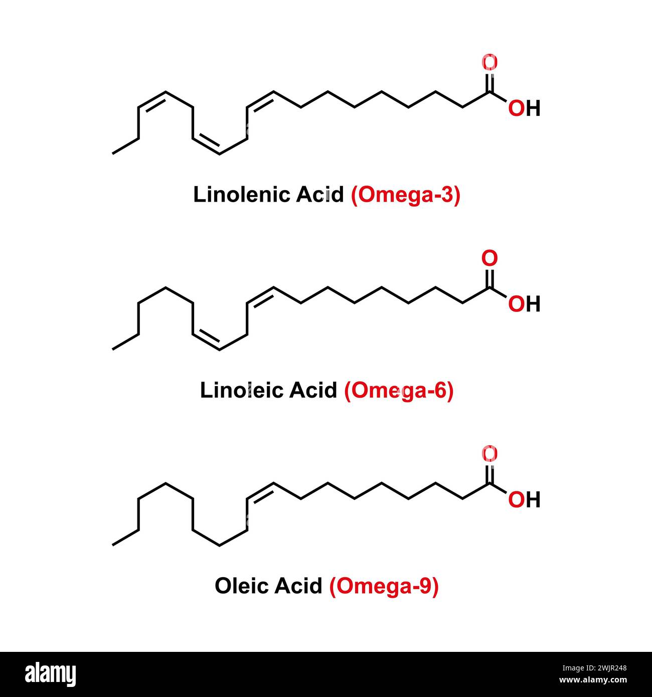 Oleic acid structure hi-res stock photography and images - Alamy