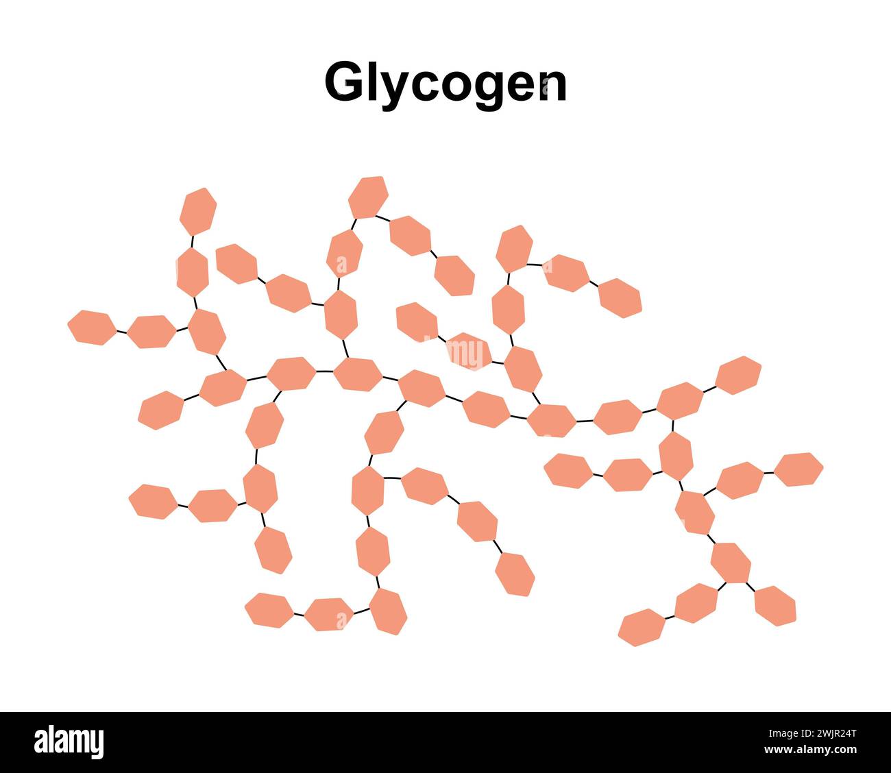 Glycogen sugar molecule, illustration Stock Photo