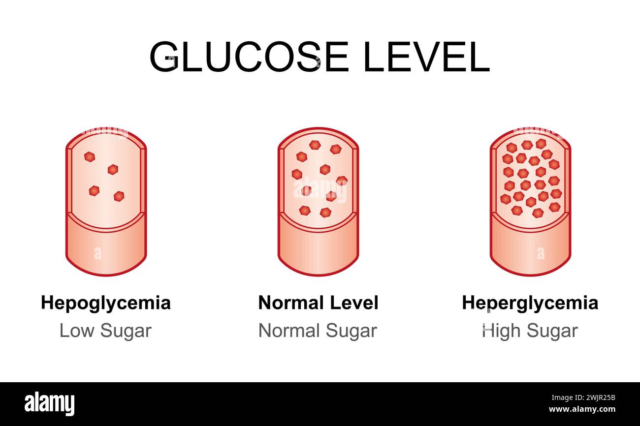 Blood Glucose Levels Illustration Stock Photo Alamy