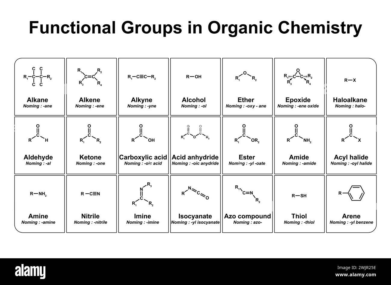 Functional groups in organic chemistry, illustration Stock Photo