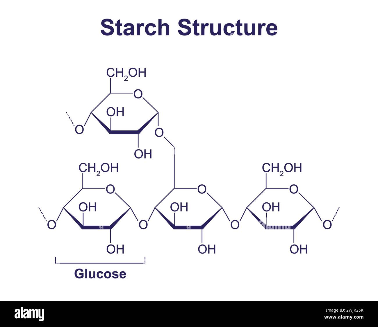 Starch structure, illustration Stock Photo