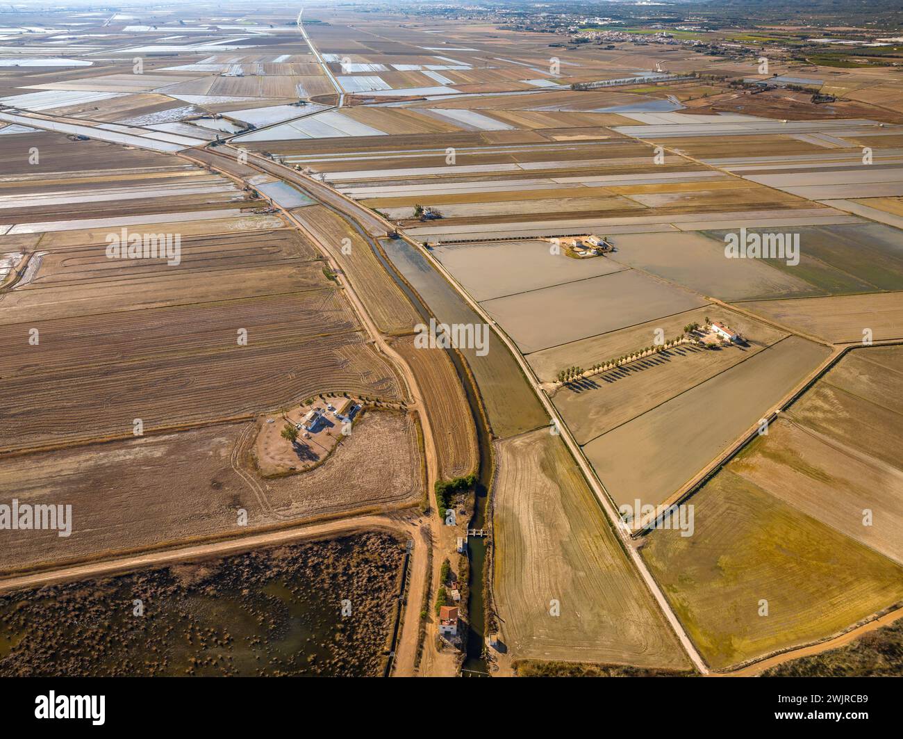 View of rice fields in the old bed of the Fondo river, in the Ebro Delta (Tarragona, Catalonia, Spain) Stock Photo