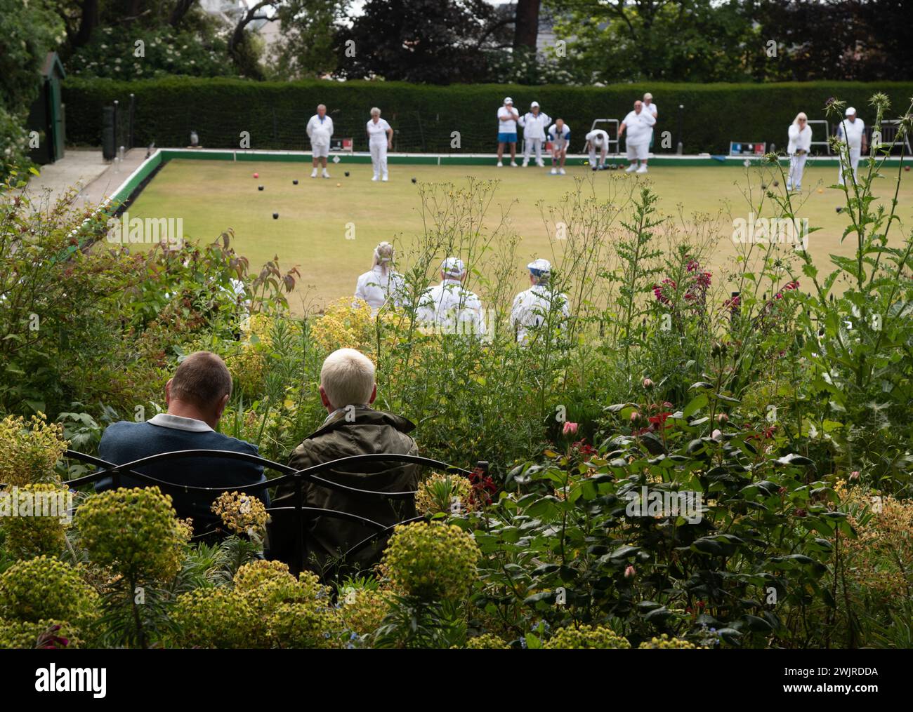 Whitstable, UK, JUNE 8 2023. Whitstable bowling club play a game. Viewed from public gardens of Whitstable Castle. Stock Photo