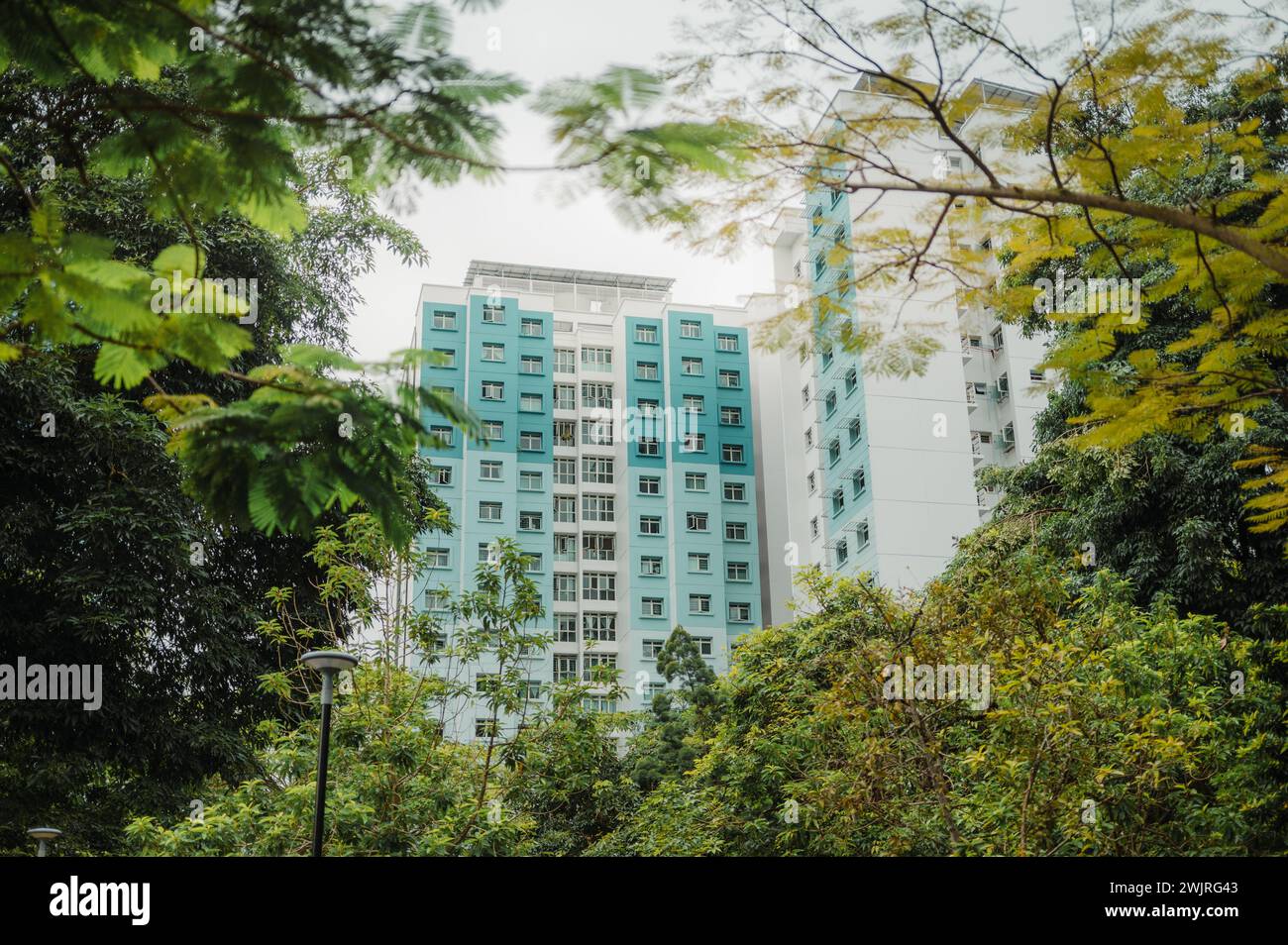 Development policies hi-res stock photography and images - Alamy