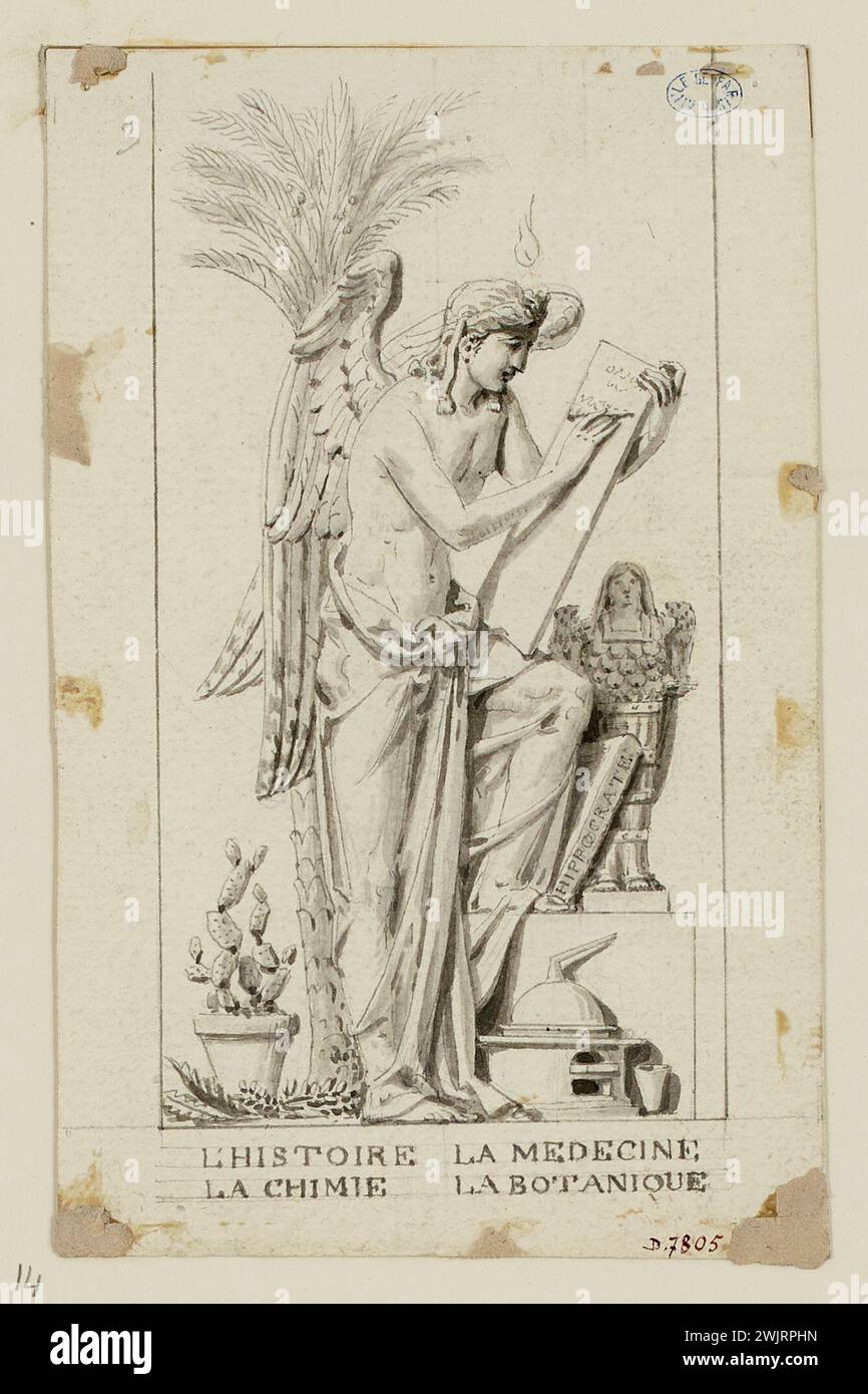 Lesueur, Jacques-Philippe (n.1757-D.1830-12-04), history, medicine, chemistry, botany. (Title given by the author). Gray wash on paper. Carnavalet museum, history of Paris. Stock Photo