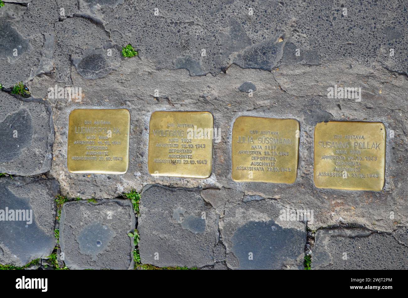 bronze metal plaques set in the cobbled street mark where jewish italians lived before being deported and killed at auschwitz concentration camp in rome capital of italy EU Stock Photo