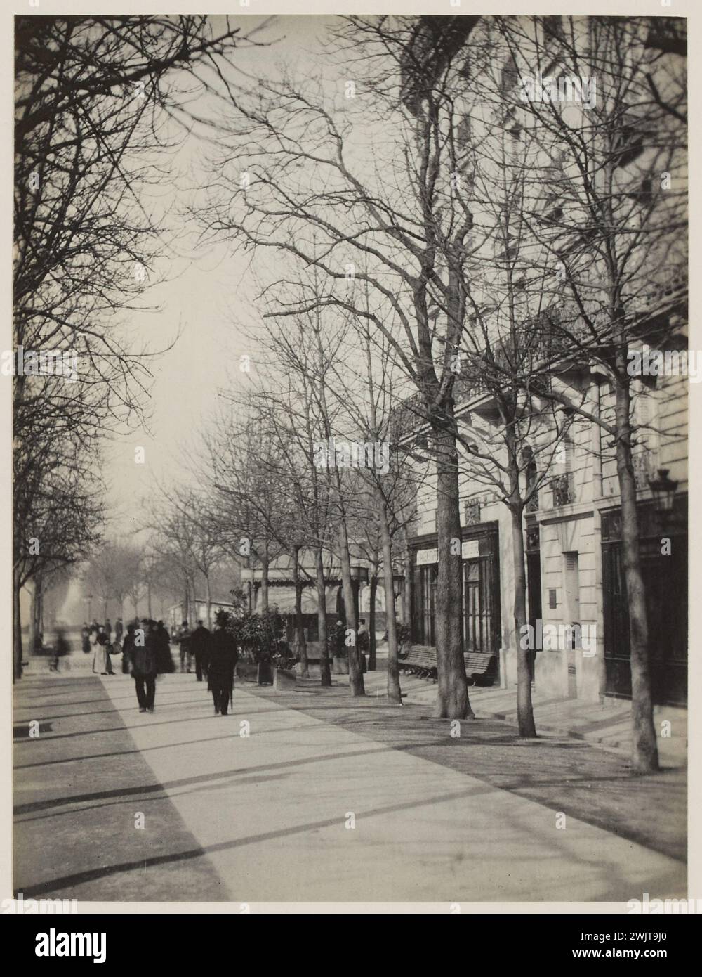 Blancard, Hippolyte (1843 - D.1924), walkers on the avenue de l'Observatoire, 6th arrondissement, Paris (dummy title), 1890. Platinum draw. Carnavalet museum, history of Paris. Stock Photo