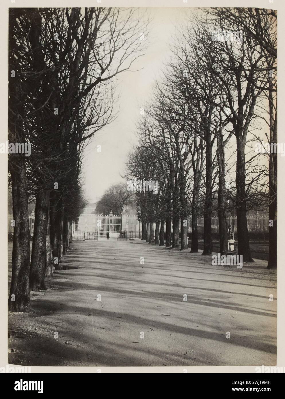 Blancard, Hippolyte (1843 - D.1924), square on the avenue de l'Observatoire, 6th arrondissement, Paris (dummy title), 1890. Platinum draw. Carnavalet museum, history of Paris. Stock Photo