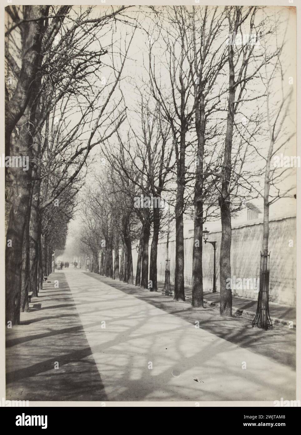 Blancard, Hippolyte (1843 - D.1924), an alley of the avenue de l'Observatoire, 6th arrondissement, Paris (dummy title), 1890. Platinum draw. Carnavalet museum, history of Paris. Stock Photo