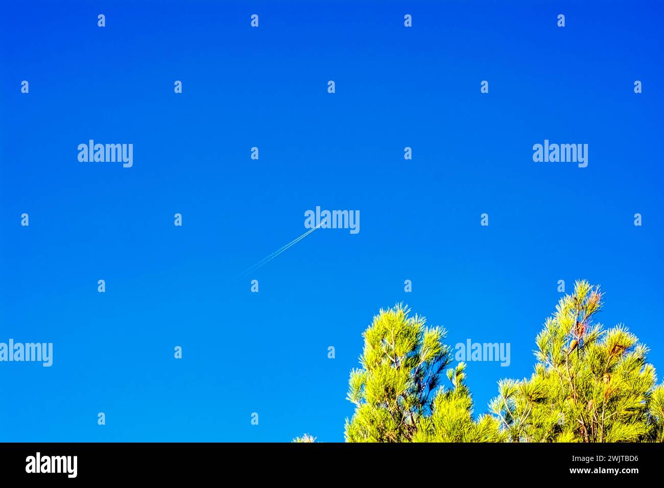 Aircraft wing sky contrail hi-res stock photography and images - Alamy