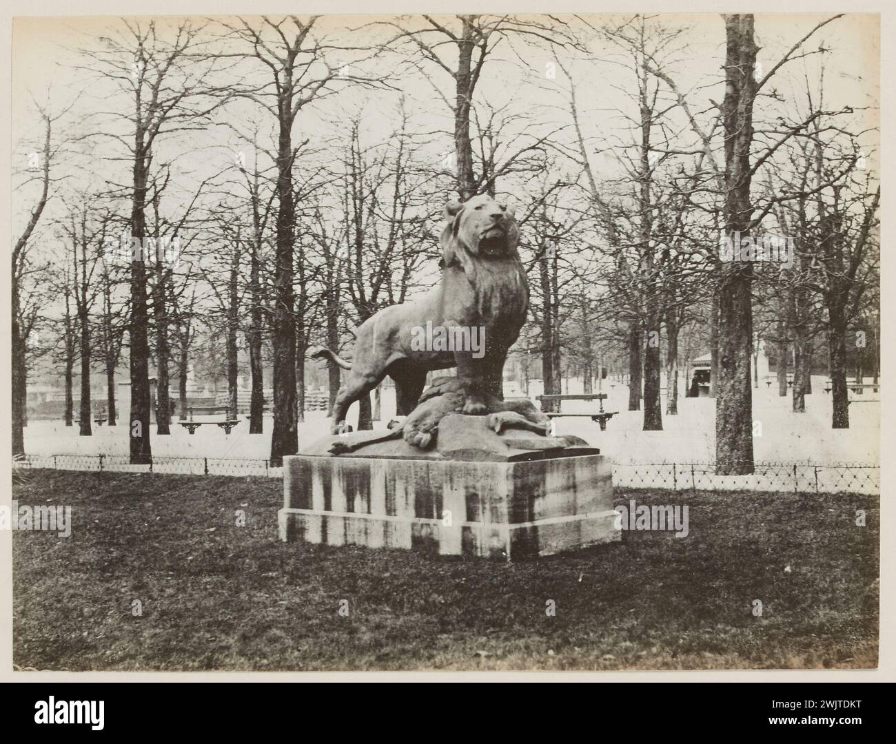 Blancard, Hippolyte (1843 - D.1924), lion of Nubia and its prey by Auguste Cain (1821-1894), statue of the Luxembourg Garden, 6th arrondissement, Paris (Faith title), 1890. Platinum draw. Carnavalet museum, history of Paris. Stock Photo