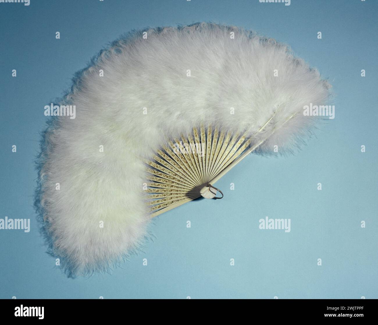 Marabout blanc hi-res stock photography and images - Alamy